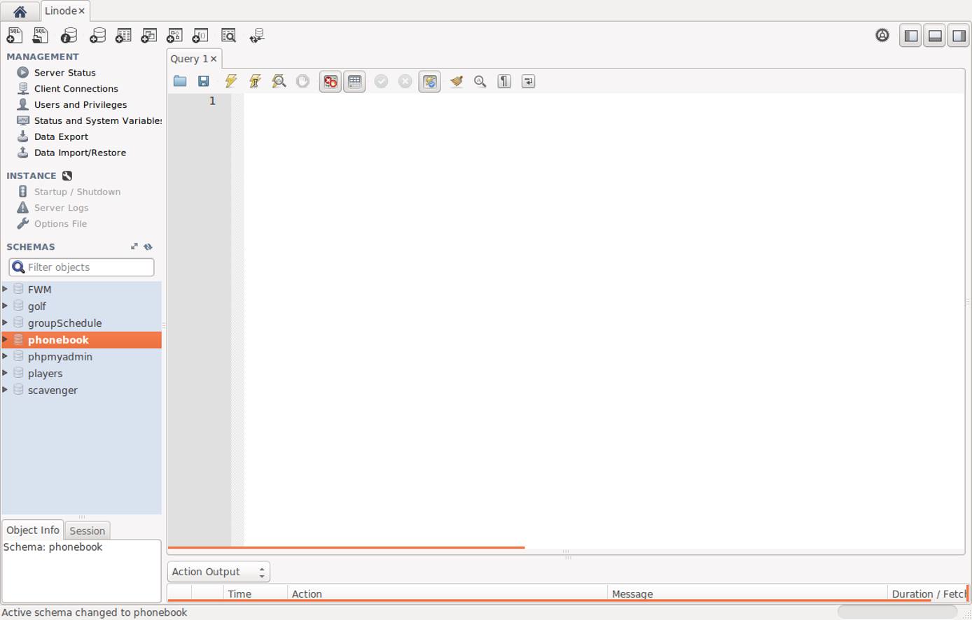 The currently selected database is displayed in bold print The currently selected database is displayed in bold print