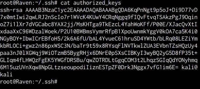authorized_keys contents