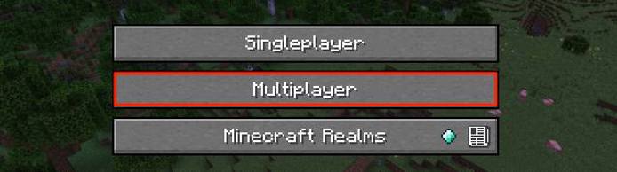 Screenshot of Minecraft multiplayer game mode
